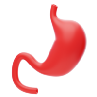 Stomach 3D Icon. anatomy human stomach 3d icon png