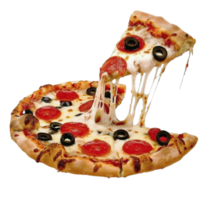 pizza vários sabores png transparente