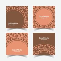 elegant ornamental decorative pattern square background social media design template vector