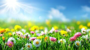 AI generated Blooming spring meadow with white   pink daisies, yellow dandelions, blue sky, copy space for text photo