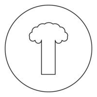 Nuclear explosion burst mushroom explosive destruction icon in circle round black color vector illustration image outline contour line thin style