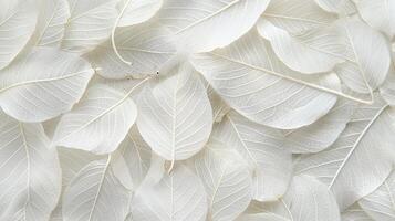 ai generado intrincado brillante blanco árbol hoja esqueleto textura antecedentes con detallado patrones foto