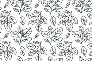 Hand drawn floral pattern vector design. Simple ornament with plant and leaf.