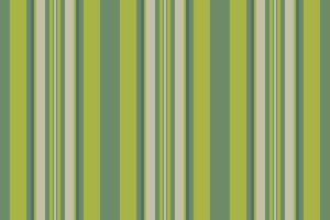 Texture stripe fabric of vertical vector lines with a textile pattern background seamless.