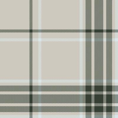 Plaid check pattern. Seamless fabric texture. Tartan textile print.