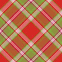 Plaid pattern vector. Check fabric texture. Seamless textile design for clothes, paper print. vector