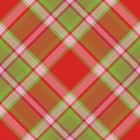 Plaid pattern vector. Check fabric texture. Seamless textile design for clothes, paper print. vector