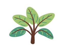 Sprout with leaf vector icon. Plant symbol of nature and environment.