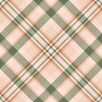 Plaid pattern vector. Check fabric texture. Seamless textile design for clothes, paper print. vector