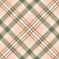 Plaid pattern vector. Check fabric texture. Seamless textile design for clothes, paper print. vector