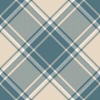 Plaid pattern vector. Check fabric texture. Seamless textile design for clothes, paper print. vector