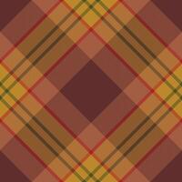 Plaid pattern vector. Check fabric texture. Seamless textile design for clothes, paper print. vector