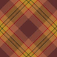 Plaid pattern vector. Check fabric texture. Seamless textile design for clothes, paper print. vector