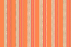 Pattern vertical vector of texture textile background with a lines fabric seamless stripe.