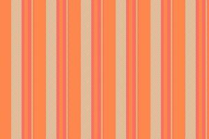 Pattern vertical vector of texture textile background with a lines fabric seamless stripe.