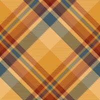 Plaid pattern vector. Check fabric texture. Seamless textile design for clothes, paper print. vector