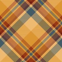 Plaid pattern vector. Check fabric texture. Seamless textile design for clothes, paper print. vector