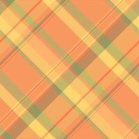 Plaid check vector of pattern tartan seamless with a textile texture background fabric.