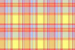 Pattern fabric vector of texture textile seamless with a plaid background tartan check.