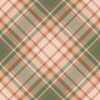 Plaid pattern vector. Check fabric texture. Seamless textile design for clothes, paper print. vector