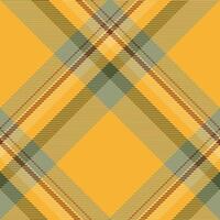 Plaid pattern vector. Check fabric texture. Seamless textile design for clothes, paper print. vector
