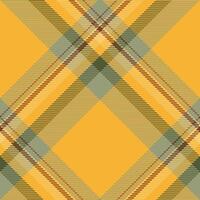 Plaid pattern vector. Check fabric texture. Seamless textile design for clothes, paper print. vector