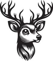 Deer vector Illustration, vector illustration of a deer head with big antlers