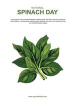 National Spinach Day background. vector