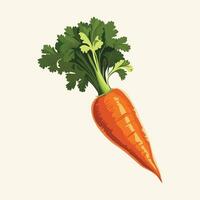 Carrot cartoon isolated. vector