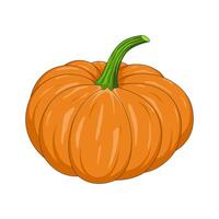 Realistic pumpkin isolated on a white background. Pumpkin for Halloween. Vector illustration.