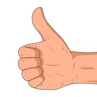 Male hand showing thumbs up sign. Isolated on a white background. Closeup. Vector illustration. Realistic style design.