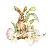 Easter bunny, egg and white flowers. Easter illustration isolated on white background. Watercolor hare and gentle flowers hand drawn. Painted lily, primrose for design greeting card, decoration vector