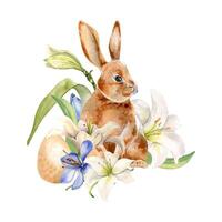 Easter hare, egg and blue, white flowers. Easter illustration with lily, crocus isolated on white background. Watercolor rabbit and delicate flowers hand drawn for design greeting card, decoration vector