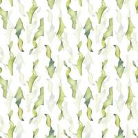 Watercolor seamless pattern of colorful laminaria illustration isolated on white. Kelp, seaweeds hand drawn. Painted algae. Design for background, textile, packaging, wrapping, marine collection. vector