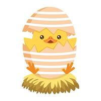 Little Chick Hatching Out The Egg easter vector