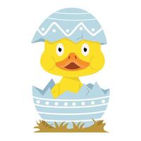 Cute duck in egg easter vector