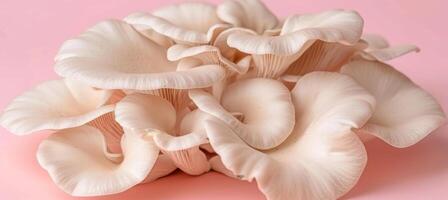 AI generated Oyster mushroom pleurotus ostreatus on delicate pastel colored background for a serene aesthetic photo