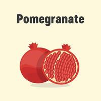 Pomegranate Modern Vector Icon Illustration