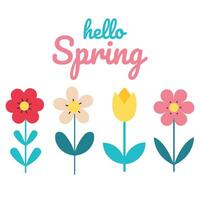 Spring and summer colorful flowers. The inscription hello spring. Vector illustration in flat style