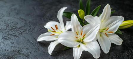 AI generated Funeral lily on dark backdrop with space for text, ideal for elegant memorial messages photo