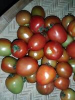 a pile of tomatoes with green and red fruit photo