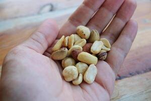 a handful of mixed nuts photo