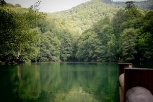 el bosque y el lago dentro él, bolu yedigoller foto