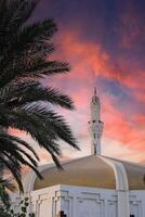 Hasan En Any Mosque minaret and palm tree. Night in Jeddah. Islamic architecture. Saudi Arabia photo