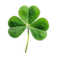 AI generated Four-leaf clover isolated on transparent background png