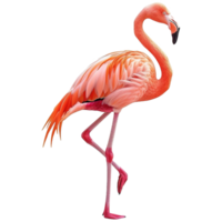 ai gegenereerd flamingo geïsoleerd Aan transparant achtergrond png
