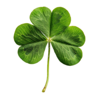 AI generated Four-leaf clover isolated on transparent background png