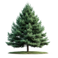 AI generated Evergreen tree isolated on transparent background png