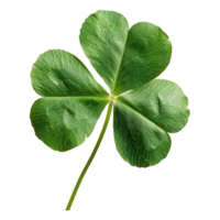 AI generated Four-leaf clover isolated on transparent background png