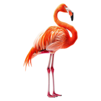 ai generiert Flamingo isoliert auf transparent Hintergrund png